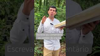 Se você profetizar o milagre vai acontecerbiblia motivacional reflexão [upl. by Esmerelda]