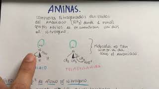 Estructura y propiedades de las aminas [upl. by Oliver]