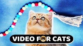 CAT GAMES  Beads on a String Videos for Cats  Movie for Cats  1 Hour [upl. by Emelun]