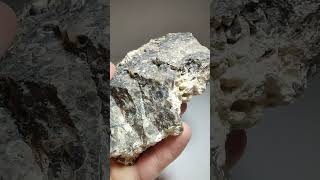 Turritella Agate Wyoming [upl. by Ezarra260]