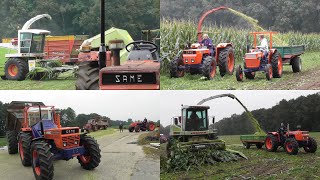 Same chopping corn [upl. by Manfred]