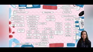 Patofisiologi amp Pathway DM [upl. by Oicnevuj821]