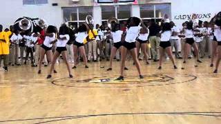 WILLIAMSON LIONETTES 2011 PEP RALLY [upl. by Cirderf491]