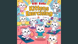 Kittens Exercising [upl. by Richy]