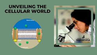 Cell transport  Diffusion  Active transport  Osmosis  Part 2  iGCSE Biology 91  Educatopia [upl. by Baniaz]