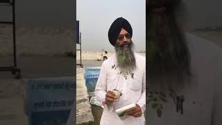 benefit of moringa in punjabi [upl. by Lliw]