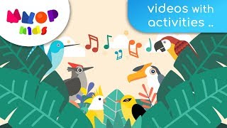 Birds of Paradise 1  Birds Songs for Children  Songs for Kids [upl. by Ahsiniuq597]