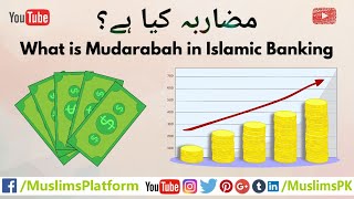 What is Mudarabah Mudarabah in Islamic Banking in UrduHindi by Muslims Platform [upl. by Arret189]