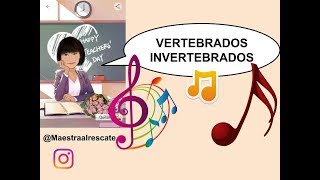 Canción de los Animales vertebrados e invertebrados Rosa ♥ [upl. by Ilanos]