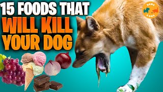 15 Foods That Will Kill Your Puppy or Dog [upl. by Airtemak]