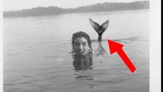 Mermaids caught on film real images [upl. by Mullac]