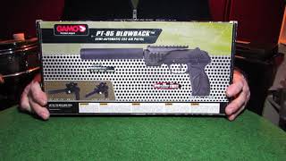 Gamo PT85 Tactical Blowback Pistol Review amp Shoot [upl. by Shae]