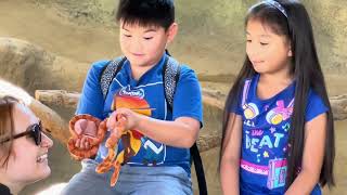 Handling a Corn Snake for the first time  Melo and Chloe’s Channel [upl. by Annehsat]