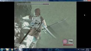 Pcsx2 Shadow of the Colossus settings on core 2 quad Q9400 radeon hd 7570 low end pc [upl. by Ailemor]