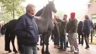 Zuidlaren horse market Pferdemarkt 2013  HD Film [upl. by Aenej]