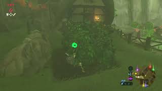 【BotW】Link does the gardening [upl. by Branen192]