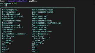 Starting With Pythons assert Statement [upl. by Idac]