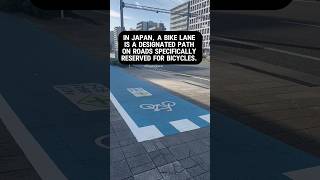 Japan bike lane japanlife [upl. by Yssirc164]