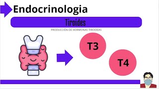 Sintesis de Hormonas Tiroideas  Endocrinologia de la Tiroides  sintesis de T3 y T4 [upl. by Shandra]