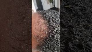 growth 😊🌱 relaxing 4c nature hairstyle canada france viralvideo trending transformation [upl. by Gabrielle]