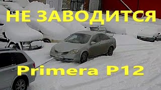 Nissan Primera не заводится [upl. by Droc]