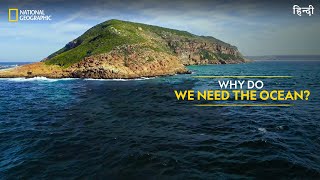 Why Do We Need the Ocean  Hostile Planet  Full Episode S01E02  हिन्दी  National Geographic [upl. by Aziram]