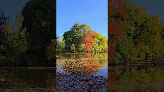 🍁Changing Leaves🧡New England🍂 [upl. by Aldas]