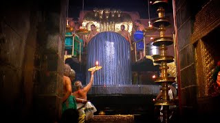 🔴LIVE  நேரலை  2021  Pradosham Thanjavur temple 02112021 [upl. by Okomom]