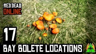 Red Dead Redemption 2 ONLINE  BAY BOLETE LOCATIONS [upl. by Olatha]