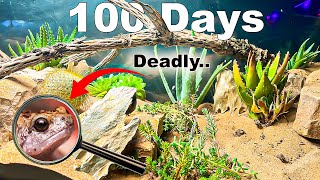 150 Gallon Desert ecosystem Simulation  With Natural Disasters [upl. by Oirifrop410]