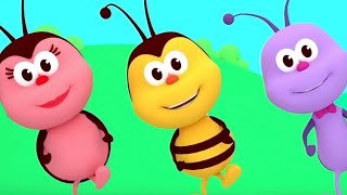 The Hokey Pokey Dance  Songs For Kids amp Nursery Rhymes  Boogie Bugs [upl. by Eenhat270]