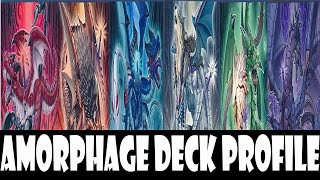 YGOPRO Amorphage Deck Profile  DeckList Jan2016 [upl. by Tterab]