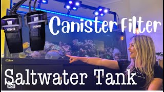 2 amp 12 Year Update on my Canister Filter SaltwaterTank [upl. by Nibuz]