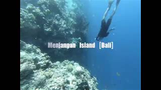 Snorkeling Menjangan Bali GoPro Hero6 인도네시아 발리 멘장안 스노클링 고프로 히어로6 [upl. by Ainak757]