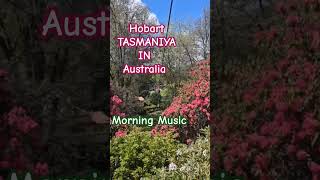 Hobart TASMANIA IN AUSTRALIA FLOWER GARDEN morning music roshanhasan motivation [upl. by Pettifer]