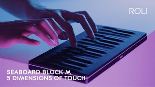 Seaboard BLOCK M Discover 5 Dimensions of Touch Anywhere [upl. by Aerdnna]