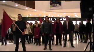 Les Miserables Flash Mob Kingsgate Centre Dunfermline [upl. by Otsirc530]