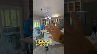 Painting oak cabinets white Lake in the Hills [upl. by Akcinehs]