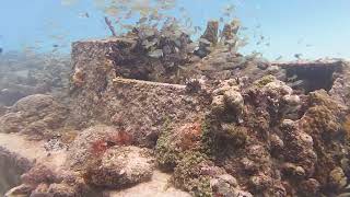 Barbados Dive Part 6 [upl. by Philip626]