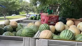 Raleighs Watermelon Lady is viral social media sensation [upl. by Levona]