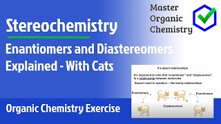 Enantiomers and Diastereomers Explained  With Cats [upl. by Ainej466]