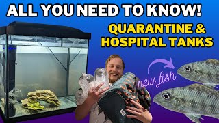 How to quarantine fish The DOS amp DONTS of Hospital tank setup medications and more [upl. by Diet]