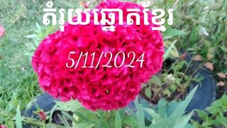 តំរុយឆ្នោតខ្មែរKHORNTHEAVY5112024 [upl. by Fisher]