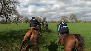 The Wynnstay Hunt Scurry 2024 Nibbles [upl. by Ibbed]