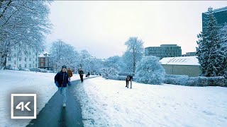 🇩🇰 Aarhus Denmark  Snow Fall Walking Tour 4K  Dec 2023 [upl. by Primrosa]