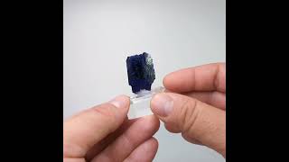 Azurite Kerrouchen Maroc 3 cm [upl. by Nnarefinnej]