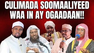 Culimada Soomaaliyeed Waa In Ay Ogaadaan [upl. by Secnarfyram230]