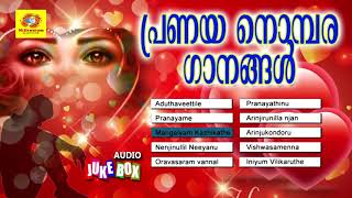 പ്രണയ നൊമ്പര ഗാനങ്ങൾ  Pranayanobara Ganangal  Malayalam Pranaya Ganangal [upl. by Lehpar]