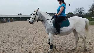 Sally Andrews riding Ballineen Silver Lady Veteran Class intro 1b summer champs extra qualifier [upl. by Ellata]