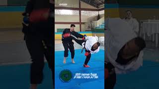 39° Campeonato Paulista de Karate e Kobudo da FBKK karate karatedo [upl. by Glenda]